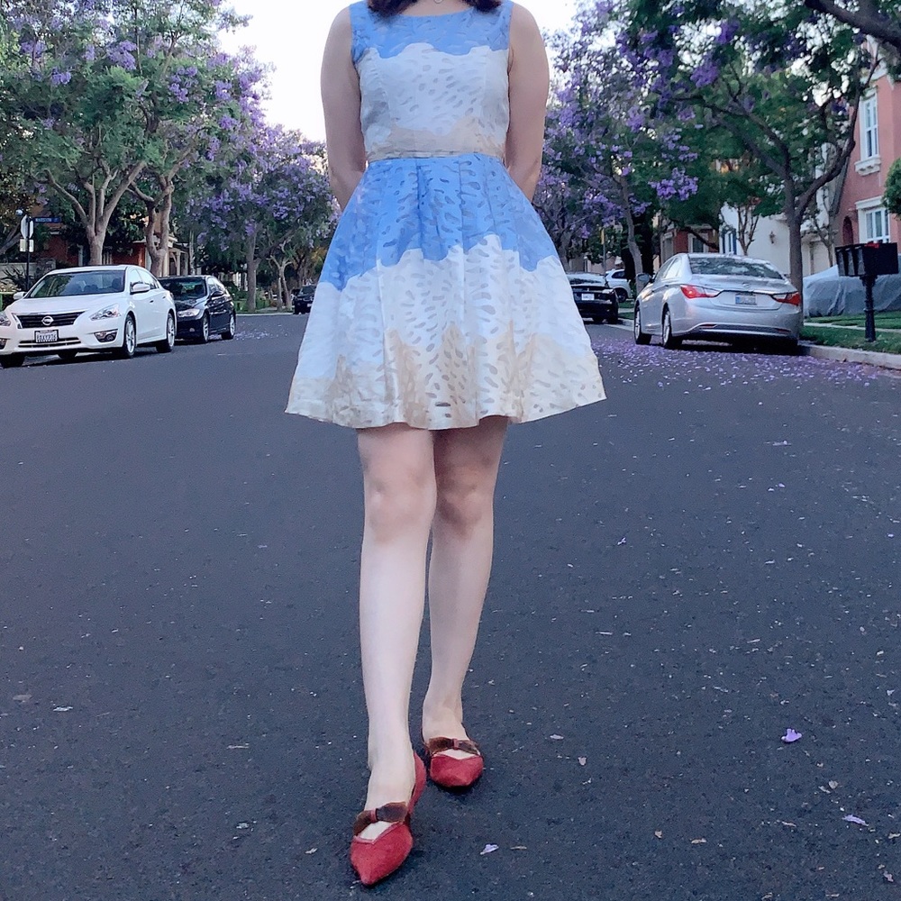 Organza Dress